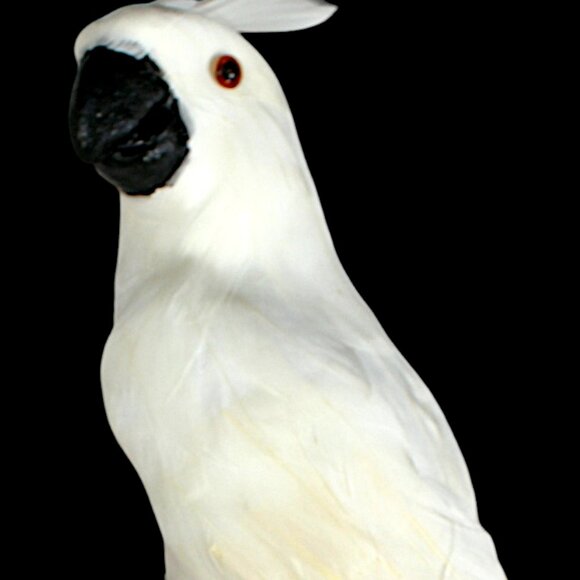 Desperately Seeking 80's Rock Stevie Nicks 7 Piece Collection Ships Next Day - Picture 13 of 14